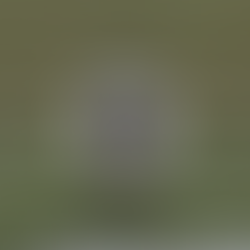 Wimbledon 2025 : Jannik Sinner, la précision d’un champion.