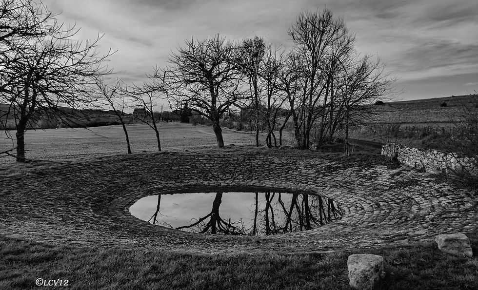 Lavogne traditionnelle sur les Causses en Aveyron, paysage en noir et blanc avec reflets et arbres d’hiver.
