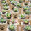 Miniatura: Suculentas Color Mix, Personalizadas