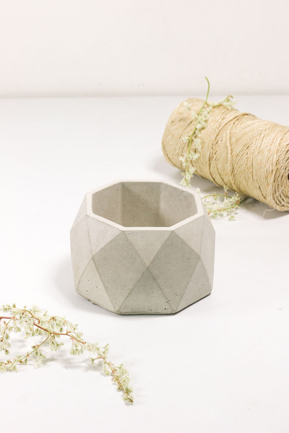 Miniatura: SUCULENTAS M / C