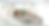 Autodesk Fusion 360 (Education License)
