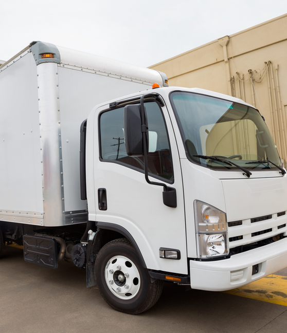 TRANSPORTADORA (15).png