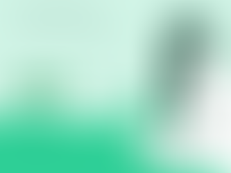 La SAS ou le choix de l'action et du pragmatisme