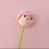 Thumbnail: Crochet Cute Doll Head Stalk