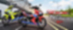 129x312 rsx arau-01.jpg