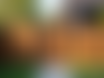 Uncovering the Ultimate Fence Installation Experience: Why Two Day Fence Tops the Charts in the Southeast!