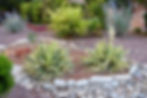 drought tolerant landscaping San Diego