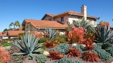 drought tolerant landscaping Santee
