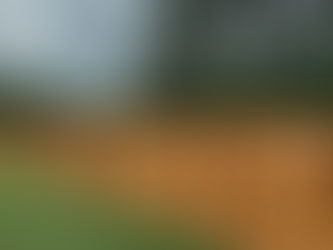 Guide to DIY Wood Fence Building: Tips, Tricks, and Local Solutions in Marietta, Georgia