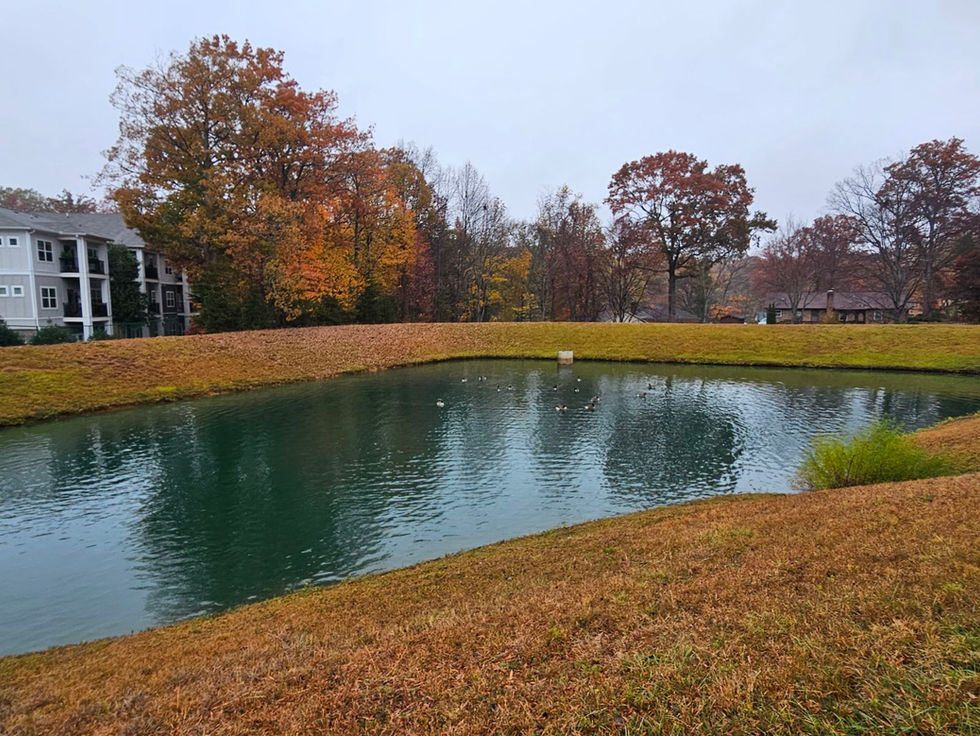 Retention pond Guilford County