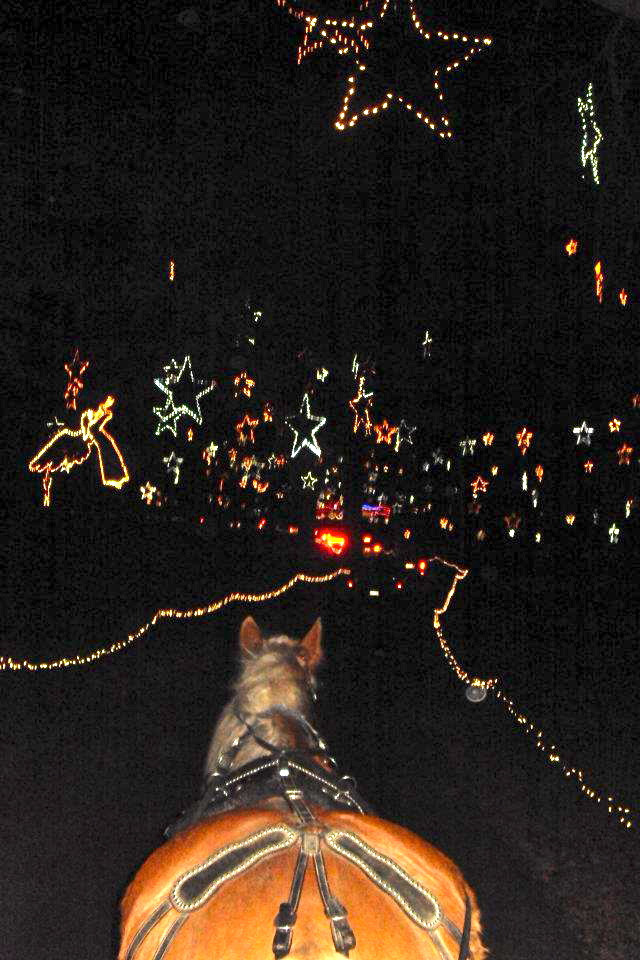 Starry Carriage Rides