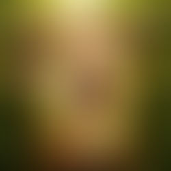 Ultrachat #16 Saci Pererê