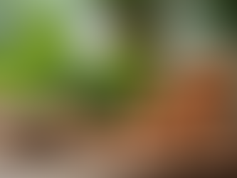 The $10.8 Billion Liver Health Industry Targeting Americans (2025 Market Report Exposed)