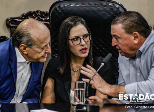 Relatório da AL reforça pedido de MT para transferir 2 milhões de hectares de terras do Pará