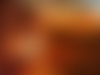 Escassez de água e falta de prevenção agravaram incêndios no Pantanal