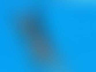 Mergulhadora desmaia durante apresentação e é salva por colega.