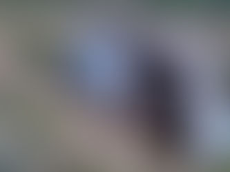 Mãe e filha morrem após caminhonete capotar em rodovia de MT