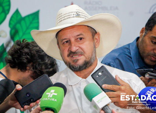 Lei estabeleceria sexo biológico como critério na definição de gênero em competição esportiva