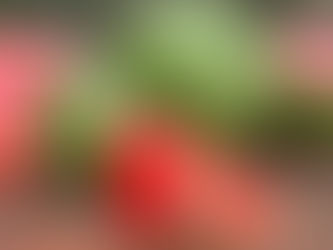 12 benefícios da melancia para a saúde (com receitas saudáveis)