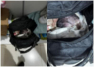 Menina de 14 anos aborta bebê e esconde em mochila em MT