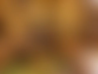 Bife acebolado na panela de pressão macio delicioso e fácil de fazer