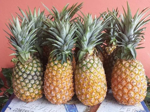 O caso do Abacaxi. (Agarre toda a tarefa com unhas e dentes e faça o melhor possível. Não esqueça: não há tarefa chata; chato é não ter tarefas.)