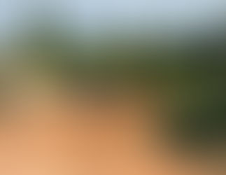 Mulher e encontrada morta com marcas de tiro na cabeça em região de mata no interior de MT