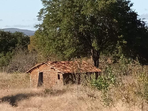 Se você perguntar se eu fui feliz quando morei ali nessa tapera....
