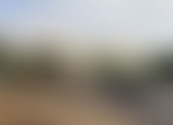 Médico e esposa são condenados a indenizar zelador por ofensas racistas