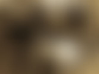 O papel importante da Música....