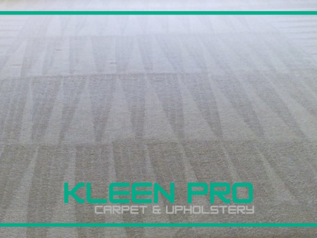 How Long Does It Take Carpet to Dry After Cleaning? Can You Walk on It? And How Can You Make It Dry Faster?