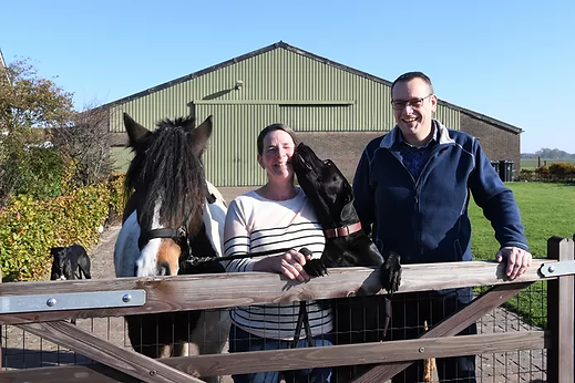 Bn Stem LucasHoeve.webp