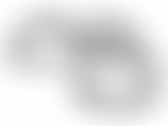 Why do the police arrest?