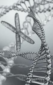 DNA-string_edited_edited.jpg