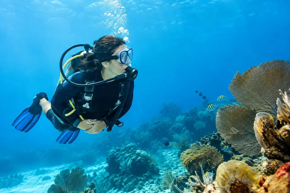8 claves para un buceo seguro en San Andrés
