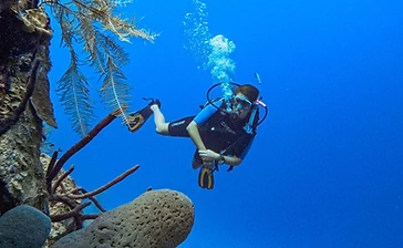 Buceo Profundo Deep Diver