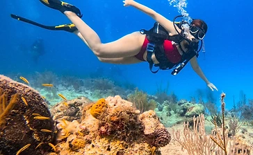 Open Water Diver PADI