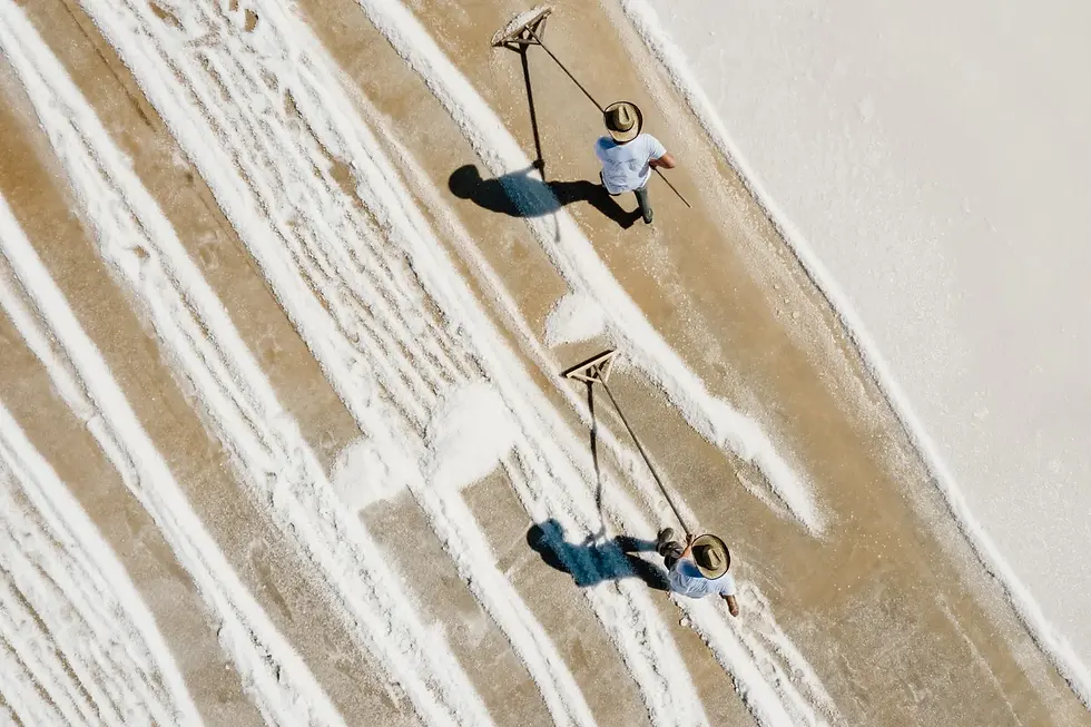 sea salt harvesting