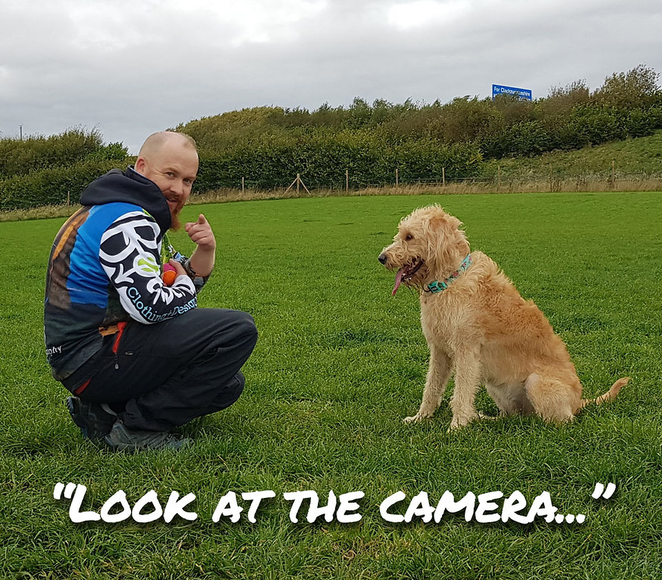 Daisy the dog listening to Joe Riley the dog photography expert from Bounders Dog Photography in a field in Scotland