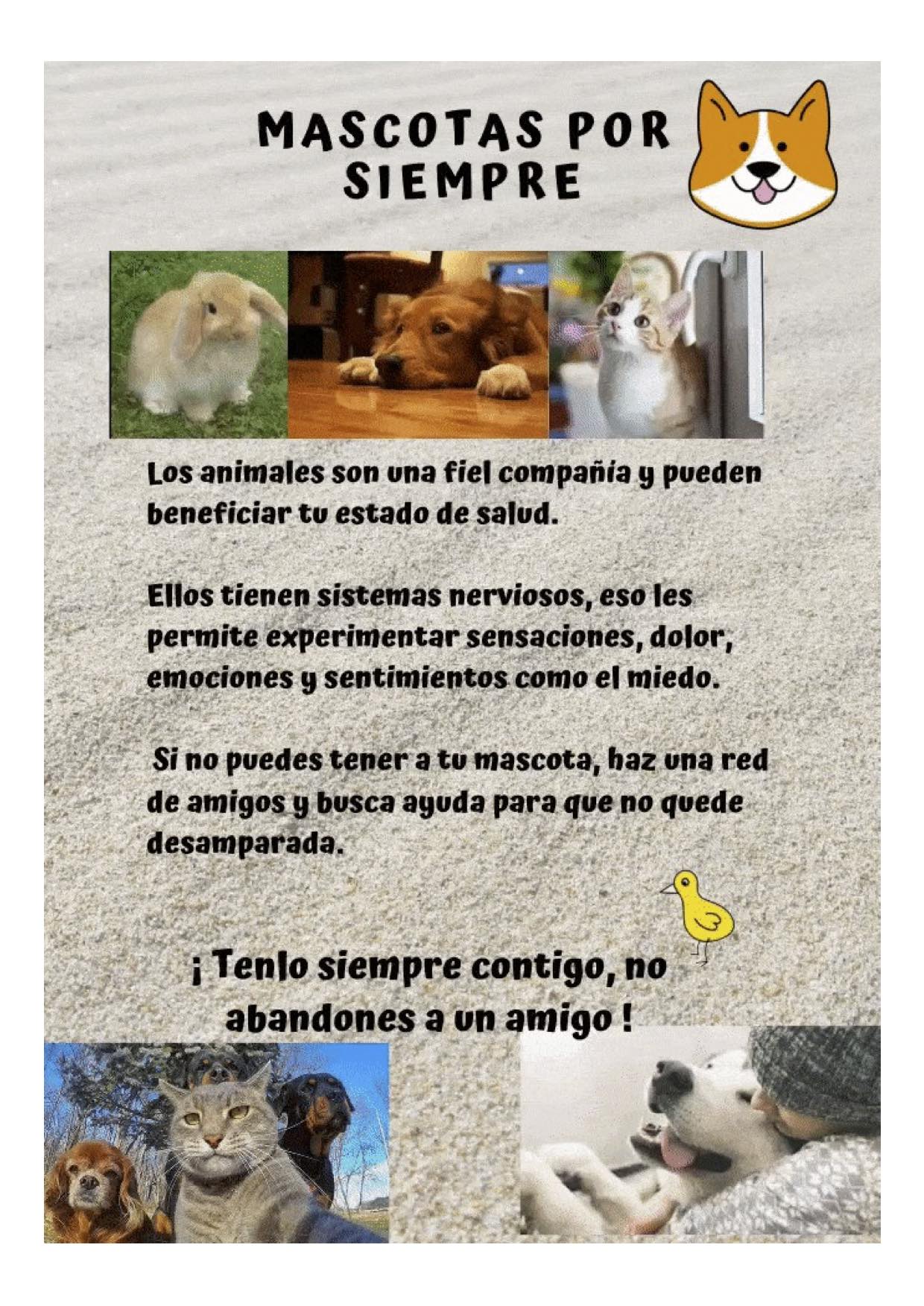 Infografía