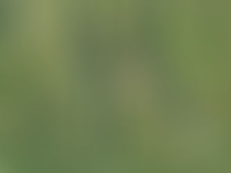 Tesla Chronicles #40 - Another Trip to FLX in the MYLR