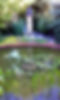 BASSIN 2.jpg