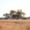 _MG_7536_edited.jpg