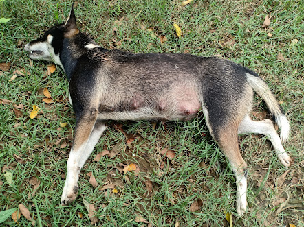 Screenshot 2026-01-27 6.11.58 AM.png