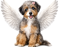 Angel Pups Deluxe Logo
