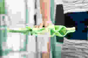 Cleaning
