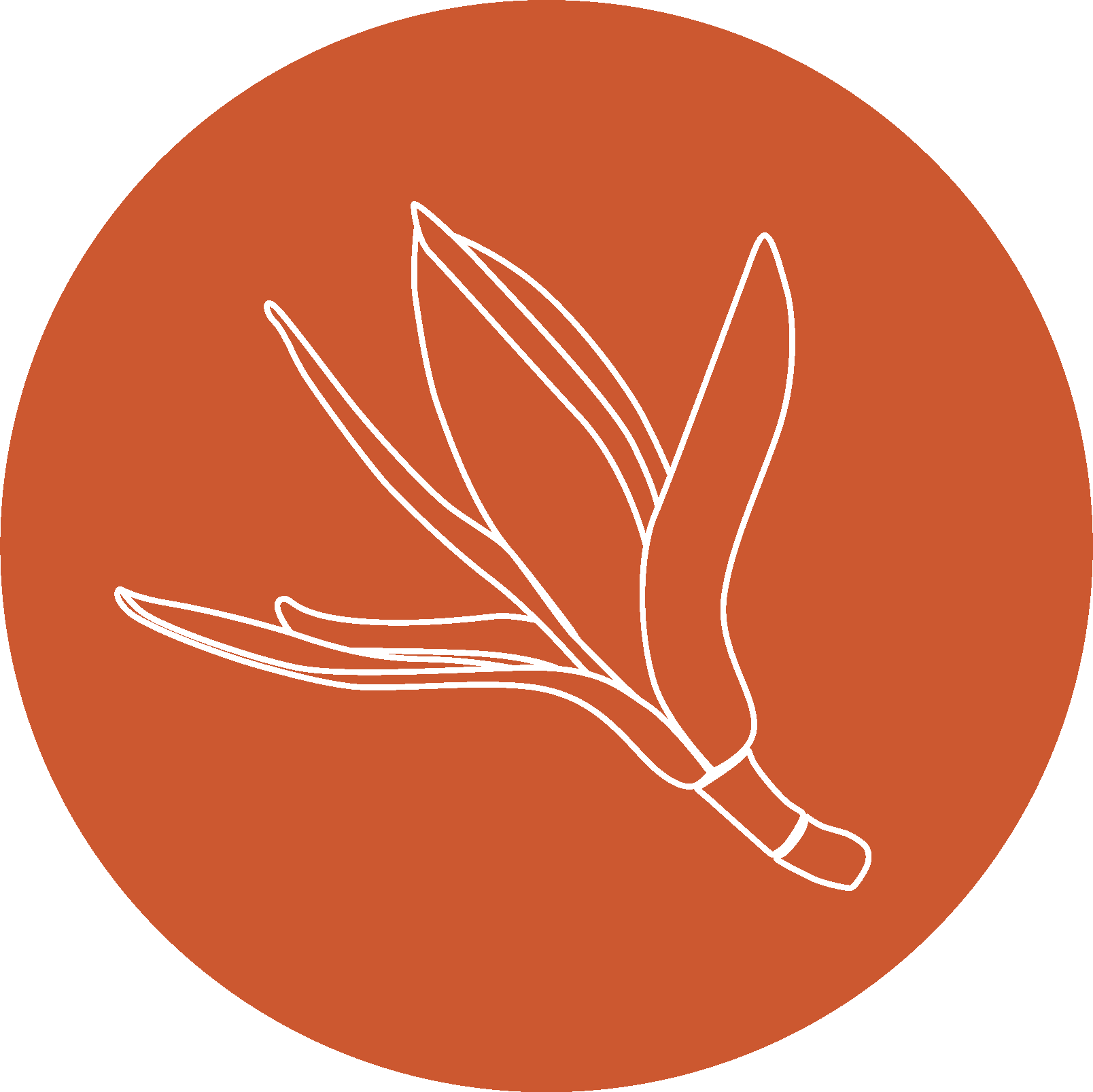 Champa - Modern Asian Cuisine
