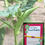 Thumbnail: Eco happy Ladies finger seed rakhi