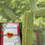 Thumbnail: Eco happy Spinach and Karela Rakhi 