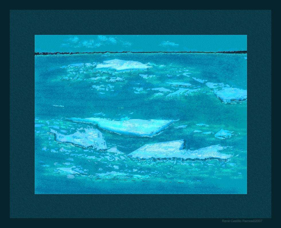 Coastline, 2007